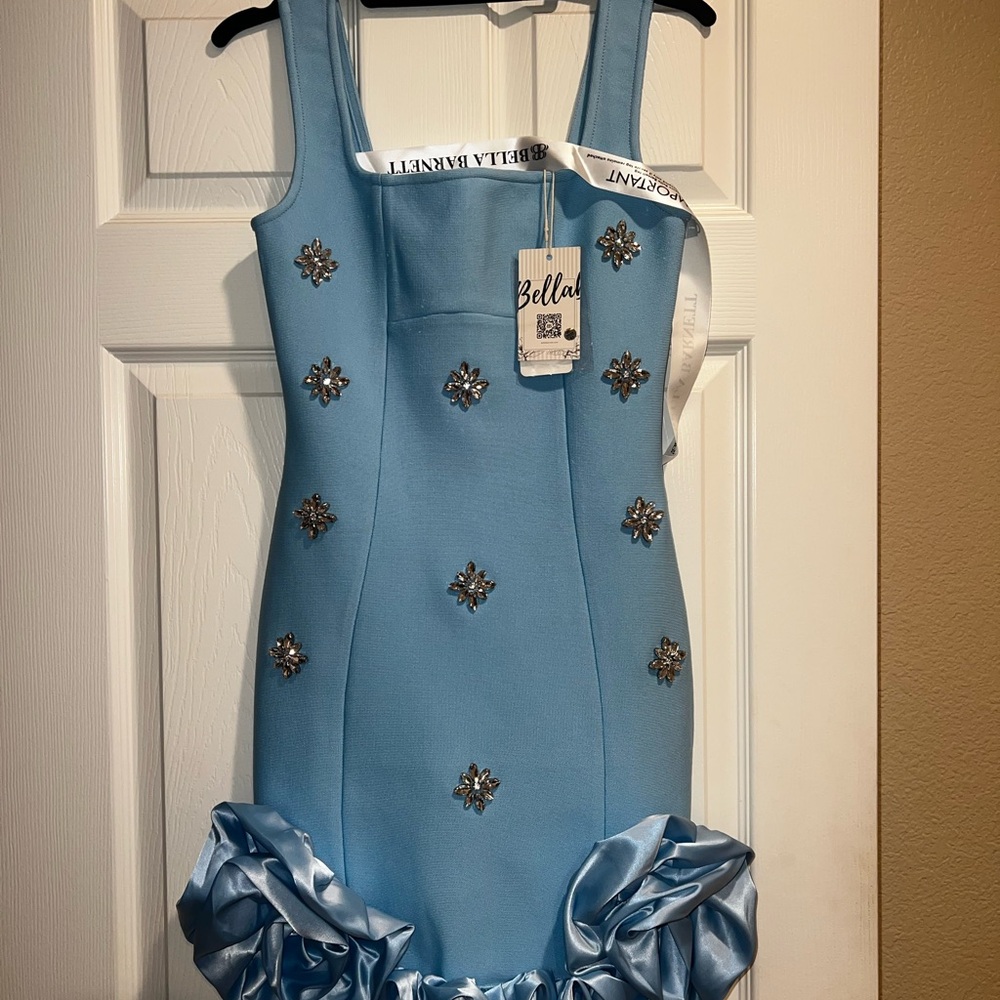 Abella Light Blue Mini Dress with Floral Embellishments